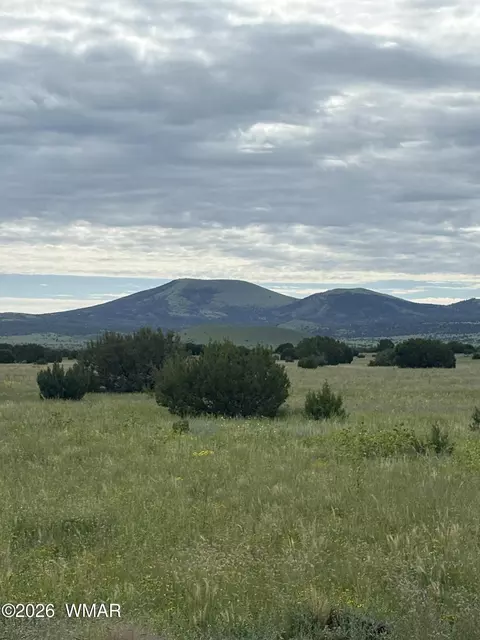 147 County Road 3149, Vernon, AZ 85940