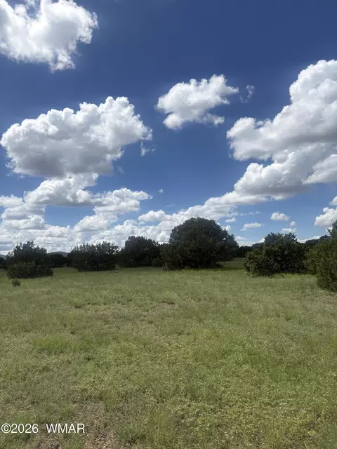 33 N3110, Vernon, AZ 85940