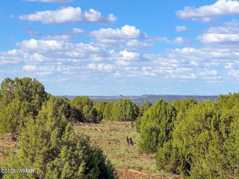 8025 Colt Lot Apt 5 8 Acres Ln, Show Low, AZ 85901