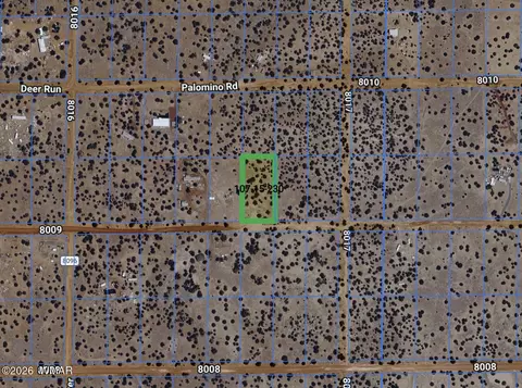 61 County Rd, Concho, AZ 85924 photo 2