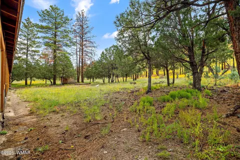 Exterior - 41005 Az-261b, Eagar, AZ 85925 photo 9 of 10