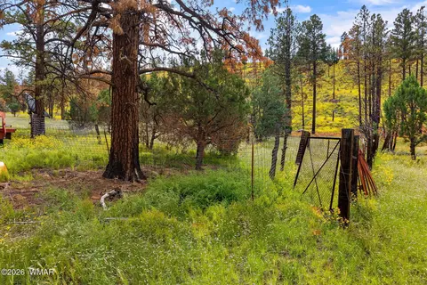 Exterior - 41005 Az-261b, Eagar, AZ 85925 photo 10 of 10