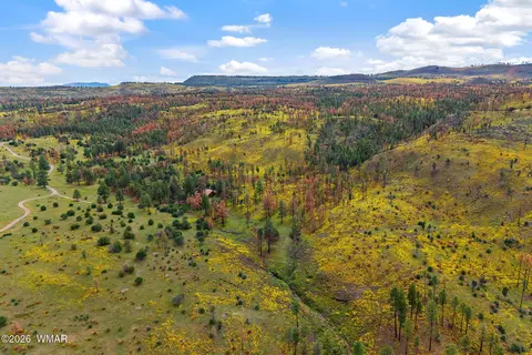 View/Area - 41005 Az-261b, Eagar, AZ 85925 photo 1 of 1