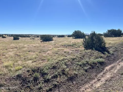 079 079b Circle Dr # A, Concho, AZ 85924 photo 2