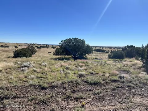 079 079b Circle Dr # A, Concho, AZ 85924 photo 4