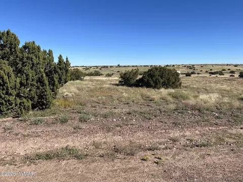 079 079b Circle Dr # A, Concho, AZ 85924 photo 7