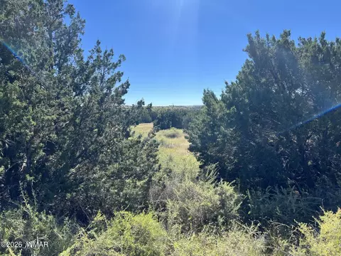22 Crest Ln, Concho Valley, AZ 85924 photo 2