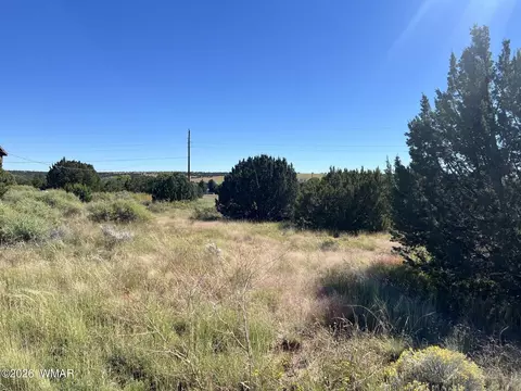 22 Crest Ln, Concho Valley, AZ 85924 photo 3