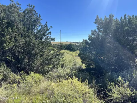 22 Crest Ln, Concho Valley, AZ 85924 photo 4