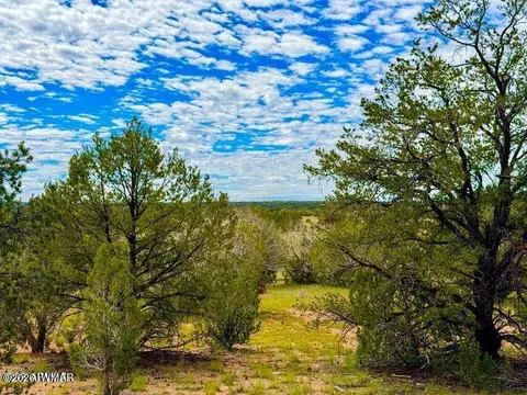 0 Dusty Rose Ranch Rd Apt C 12 Acre, Seligman, AZ 86337