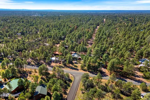 2936 Mogollon Dr, Overgaard, AZ 85933 photo 3