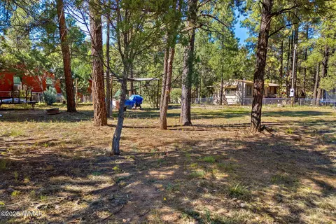 2936 Mogollon Dr, Overgaard, AZ 85933 photo 17