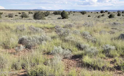 68 N9016, Concho, AZ 85924 photo 19