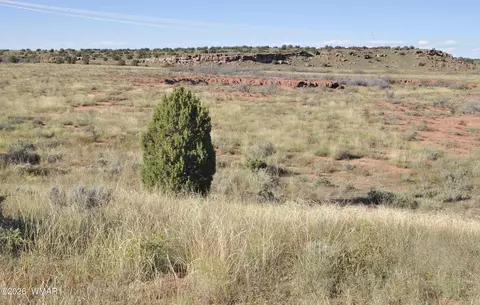 68 N9016, Concho, AZ 85924 photo 18