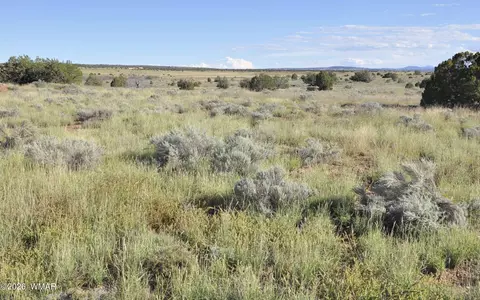 68 N9016, Concho, AZ 85924 photo 16