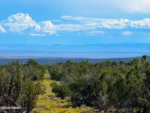 tbd Co Rd N7480 40 Acres, Saint Johns, AZ 85936
