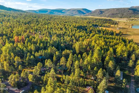 View/Area - 8 2065, Alpine, AZ 85920 photo 6 of 6