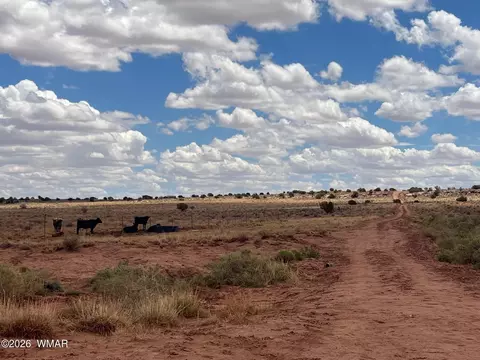 8358 8400 Terry Trl, Snowflake, AZ 85937 photo 5