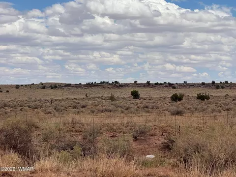 8358 8400 Terry Trl, Snowflake, AZ 85937 photo 3