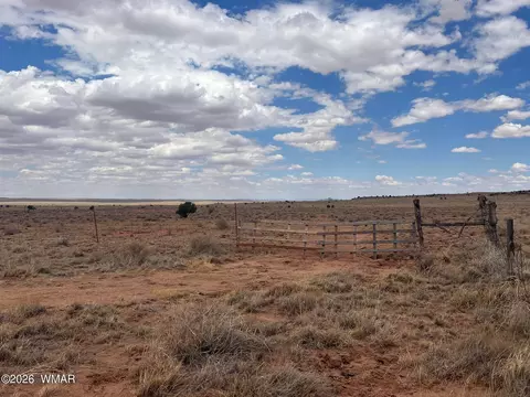 8358 8400 Terry Trl, Snowflake, AZ 85937 photo 8