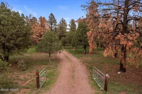 Other - 15 County Road 2019, Nutrioso, AZ 85932 photo 5 of 16