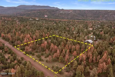 View/Area - 15 County Road 2019, Nutrioso, AZ 85932 photo 2 of 3