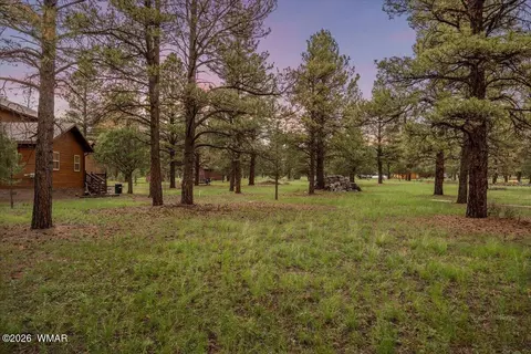 Exterior - 15 County Road 2019, Nutrioso, AZ 85932 photo 10 of 11