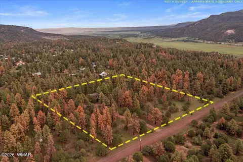 View/Area - 15 County Road 2019, Nutrioso, AZ 85932 photo 3 of 3