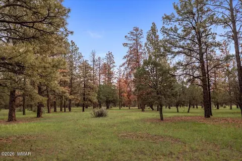Other - 15 County Road 2019, Nutrioso, AZ 85932 photo 4 of 16