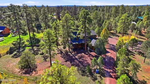View/Area - 3033 Aspen Rd, Overgaard, AZ 85933 photo 3 of 7