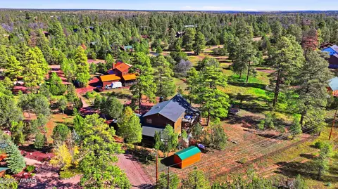 View/Area - 3033 Aspen Rd, Overgaard, AZ 85933 photo 1 of 7