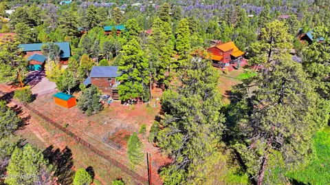 View/Area - 3033 Aspen Rd, Overgaard, AZ 85933 photo 4 of 7