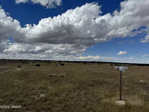 317 Maple Ln, Concho, AZ 85924 photo 3
