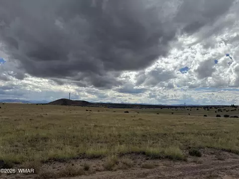 317 Maple Ln, Concho, AZ 85924 photo 4