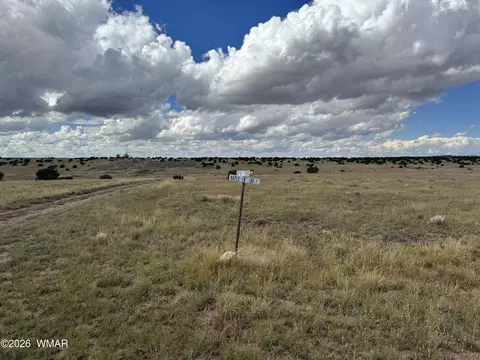 317 Maple Ln, Concho, AZ 85924 photo 2