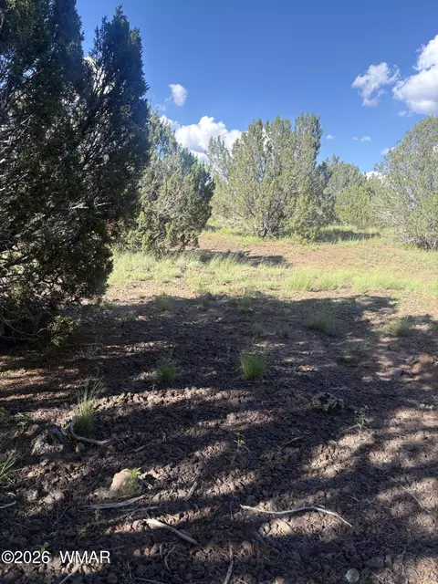 tbd Rough Rd, Concho, AZ 85924 photo 8