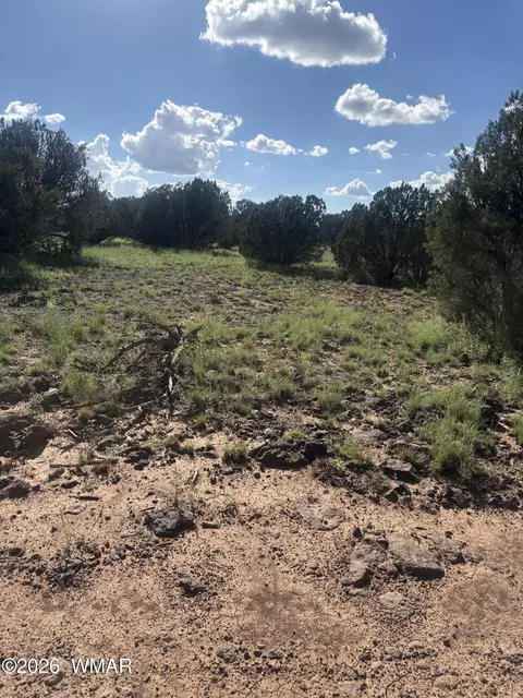 tbd Rough Rd, Concho, AZ 85924 photo 6