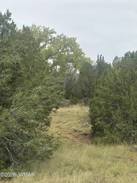 tbd Rough Rd, Concho, AZ 85924 photo 9