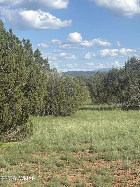tbd Rough Rd, Concho, AZ 85924 photo 7