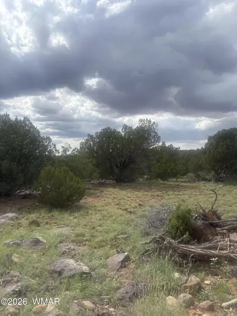 tbd Rough Rd, Concho, AZ 85924 photo 4