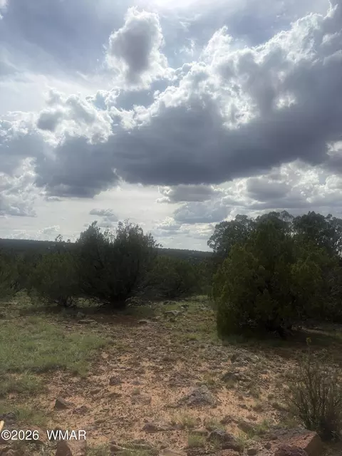 tbd Rough Rd, Concho, AZ 85924 photo 3
