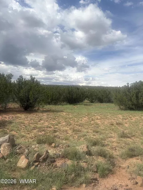 tbd Rough Rd, Concho, AZ 85924 photo 2