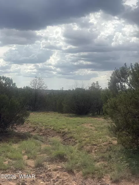 tbd Rough Rd, Concho, AZ 85924 photo 5