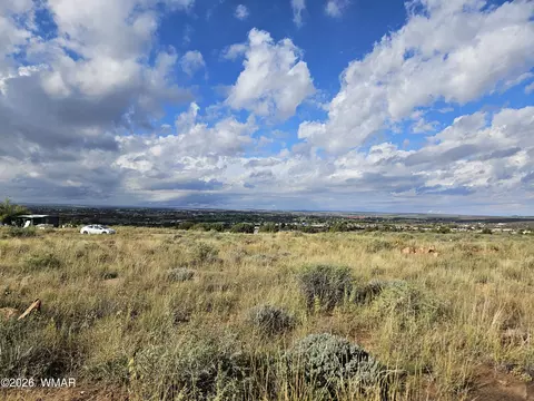 417 N Hillside Dr, Snowflake, AZ 85937 photo 3