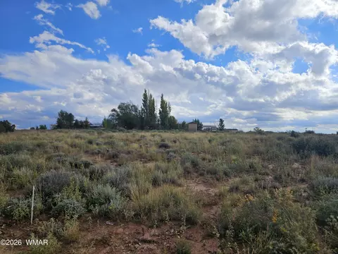 417 N Hillside Dr, Snowflake, AZ 85937 photo 10
