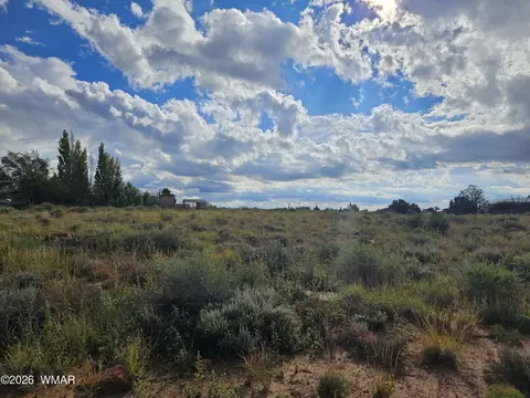 417 N Hillside Dr, Snowflake, AZ 85937 photo 11