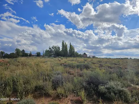417 N Hillside Dr, Snowflake, AZ 85937 photo 9