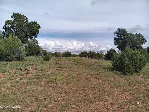 tbd Fruit Forest Ln, Clay Springs, AZ 85923