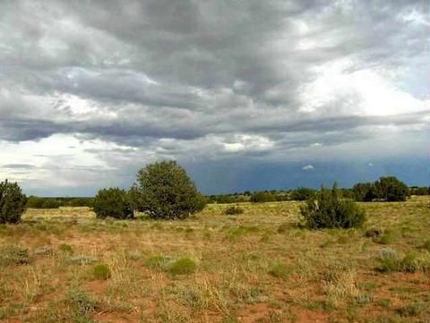 lot321 Chevelon Canyon Rnch, Heber, AZ 85928