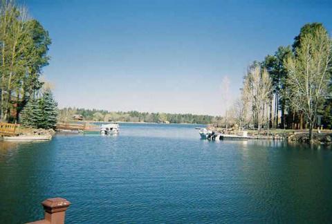 2432 E Bald Eagle Pt, Lakeside, AZ 85929 photo 3